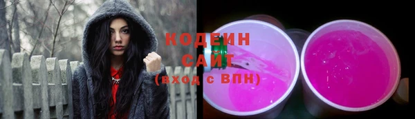 соль ск Переславль-Залесский